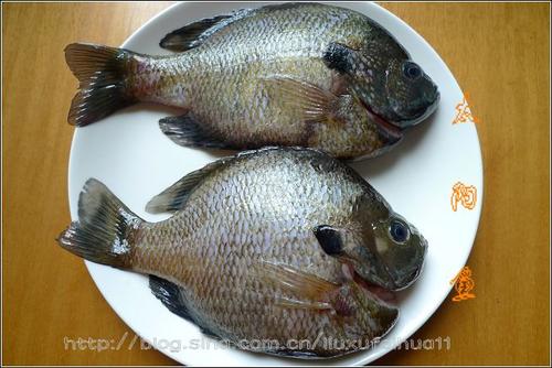 ̫��������������