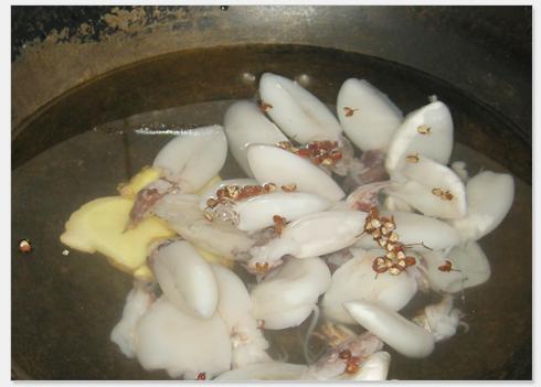 ����ī���е�����