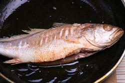 ����ƻ��������