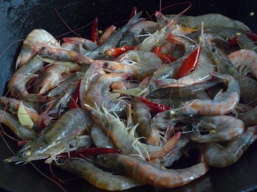 ����ơ�ƴ�Ϻ������