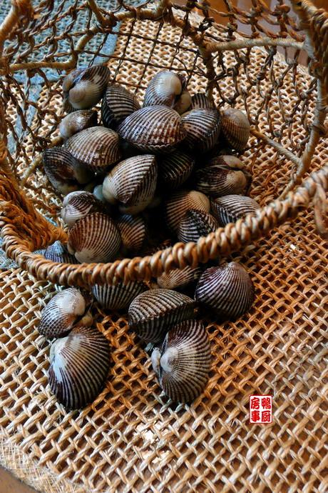 Ѫ��������