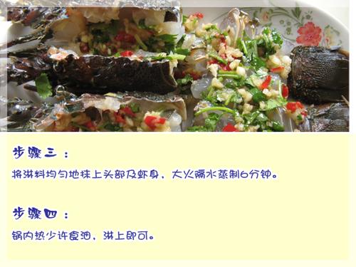 ����������Ϻ������