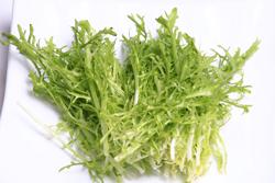 ���±����ɳ��������