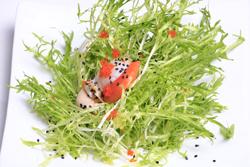 ���±����ɳ��������