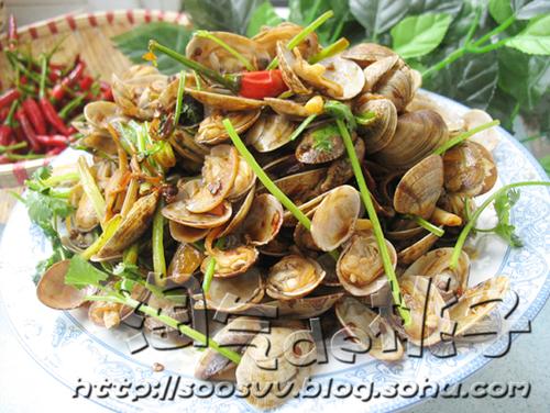 ���������ӵ�����