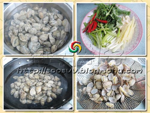 ���������ӵ�����