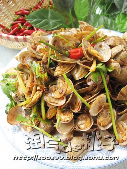 ���������ӵ�����