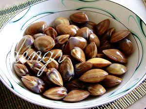 ɳ�������ƹϵ�����