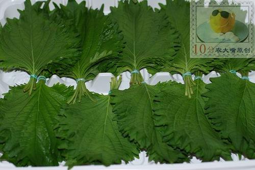 ������ռ������������