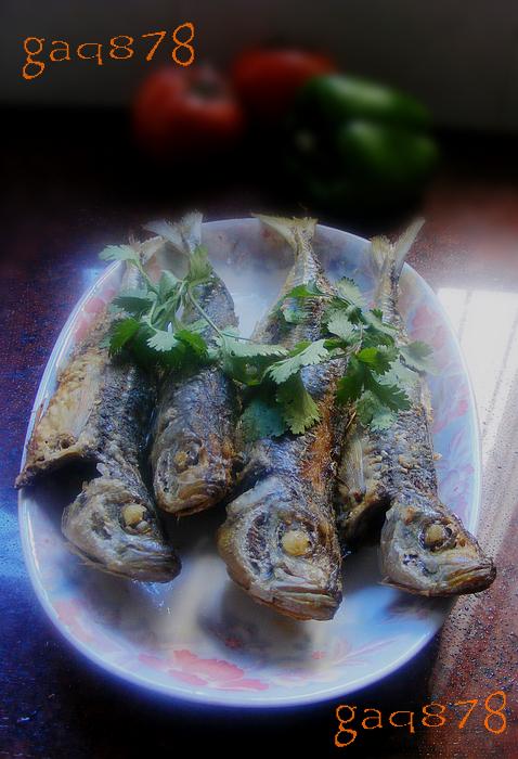 �ɼ�����������