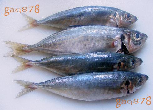 �ɼ�����������