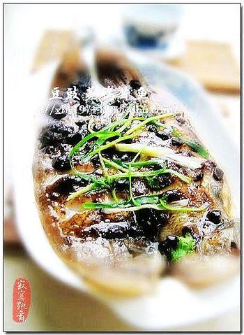 ������ѻƬ�������