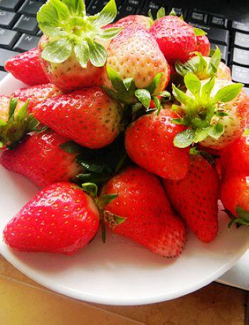 ������ѻƬ�������