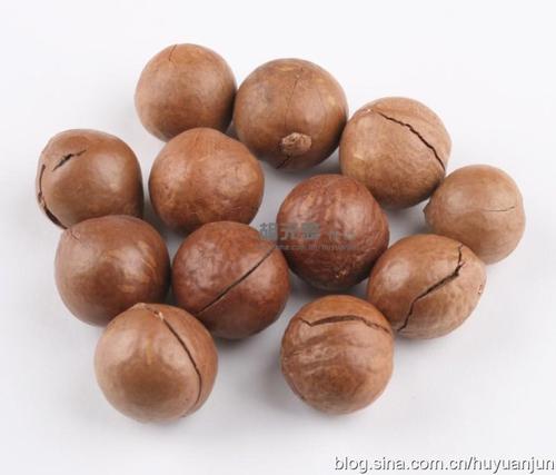 西芹夏果炒澳带的做法