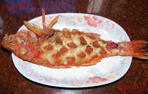 �Ǵ�����������