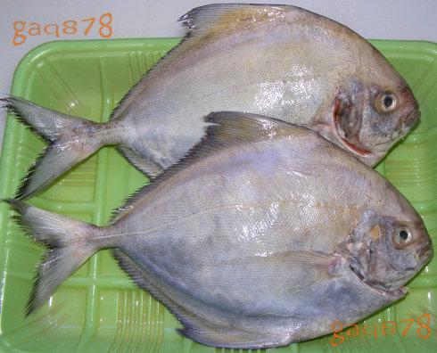 酸辣乌鲳鱼的做法