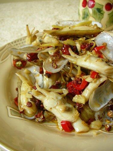 �������ӵ�����