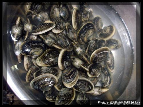 ���������׵�����