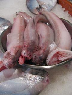 ����ˮ˿����ε�����