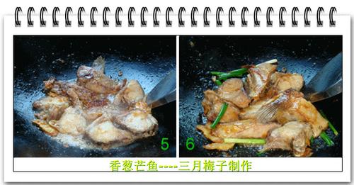 ���â�������