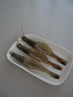 ���㿾Ϻ���ں������������