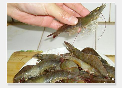 ���ն�Ϻ������