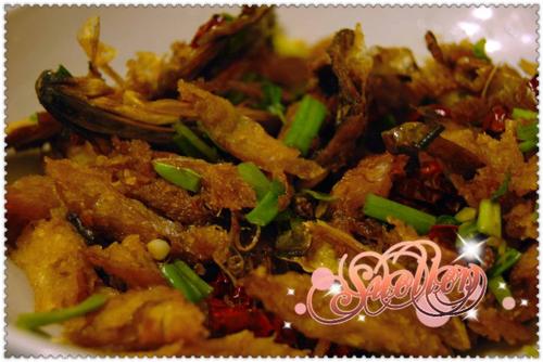 ������̫�������