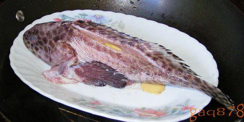 清蒸三斑石斑鱼的做法