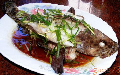 清蒸三斑石斑鱼的做法