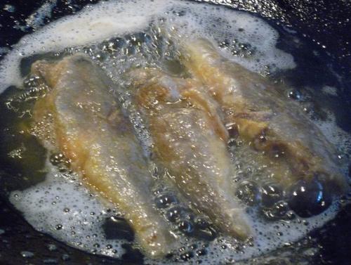 ɰ�����㶹��������