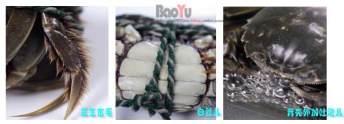 清蒸河蟹的做法