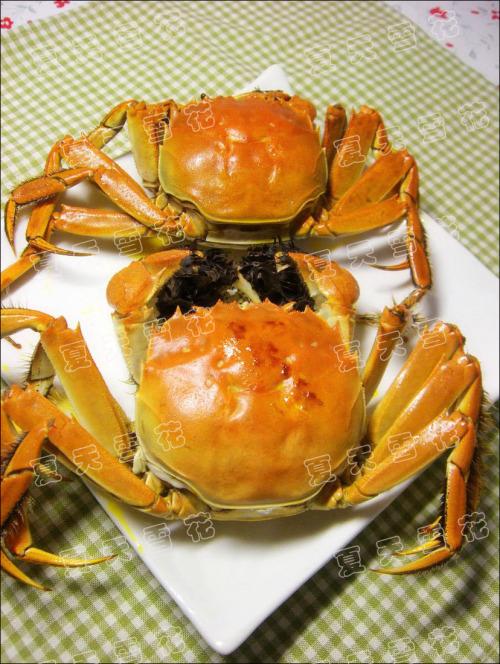 ���˴�բз������