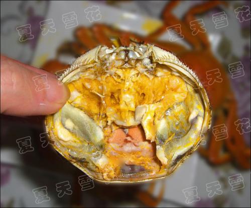 ���˴�բз������