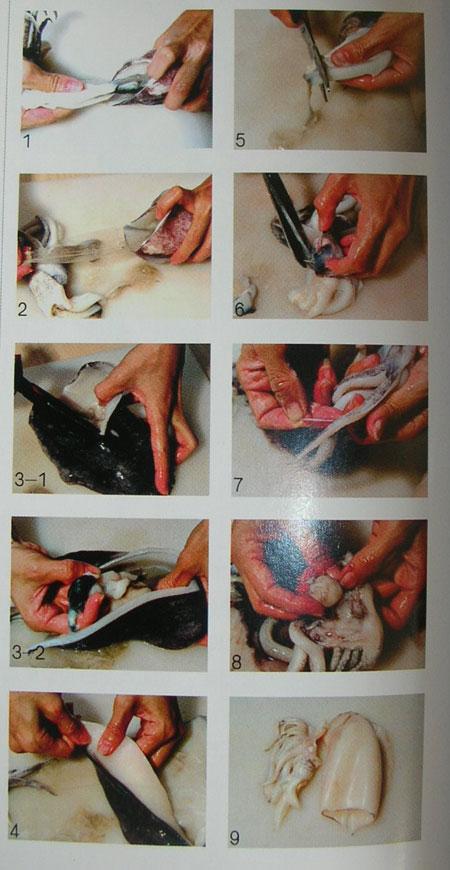 ��֭˫�����������