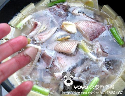 老板鱼炖豆腐的做法