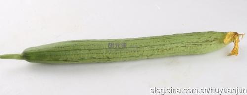 ˿��ľ�������������