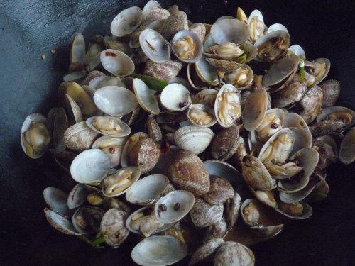 �������۵�����