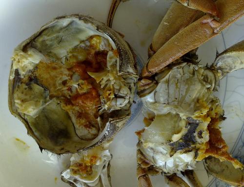 挑选大闸蟹的几点心得的做法