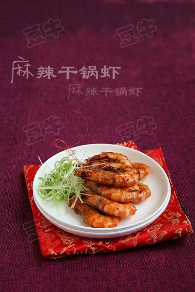 �����ɹ�Ϻ������