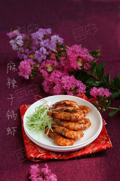 �����ɹ�Ϻ������