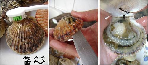 �����ȱ�������