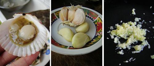 �����ȱ�������