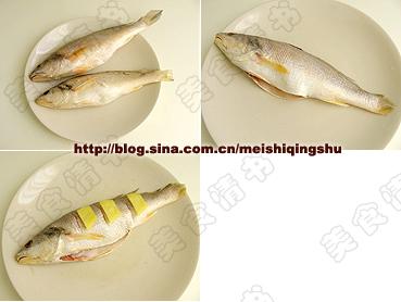 �ɼ���������