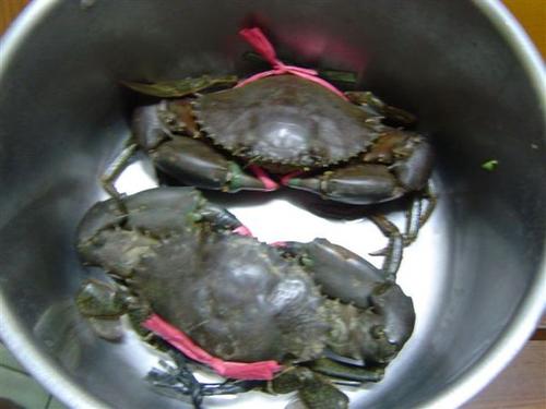 �����з������