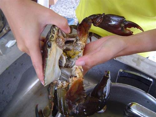 �����з������