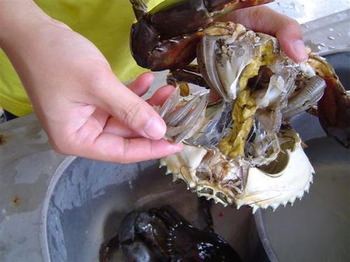 �����з������