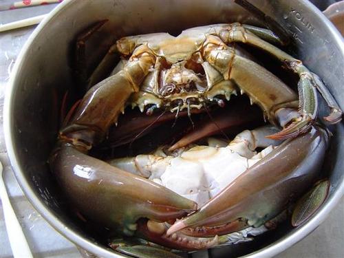 �����з������