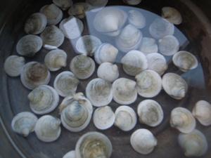 酱爆蛤蜊的做法