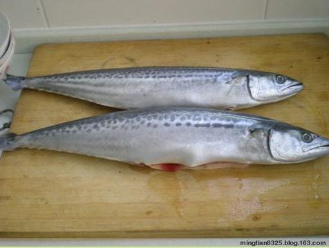 ����Ѭ���������