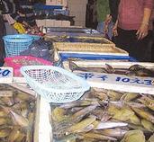 ���������ӵ�����